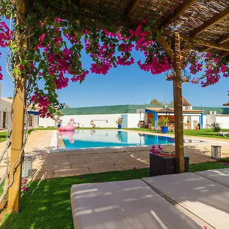 Amazing With Pool Gym And * Alvor